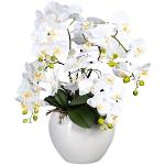 Reduzierte Weiße Künstliche Orchideen 