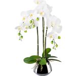 Reduzierte Weiße Künstliche Orchideen 