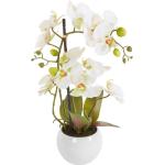 Reduzierte Weiße Home Affaire Künstliche Orchideen im Topf 