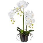 Weiße Gasper Künstliche Orchideen aus Kunststoff 