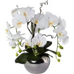 2024 Trends | | online Günstig kaufen Künstliche Orchideen