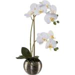 Reduzierte Silberne Künstliche Orchideen 