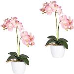 Reduzierte Rosa Runde Künstliche Orchideen aus Kunststoff 