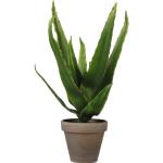 Kunstpflanze Mica Aloe Vera grün im Topf Mica Ø 16 cm H 30 cm