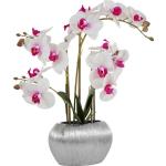 Reduzierte Weiße Home Affaire Künstliche Orchideen im Topf 