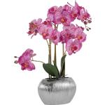 Reduzierte Silberne Home Affaire Künstliche Orchideen im Topf 