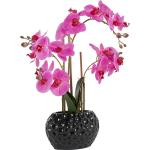 Reduzierte Moderne Leonique Künstliche Orchideen im Topf 