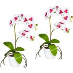Rosa Künstliche Orchideen kaufen online Trends | | Günstig 2024