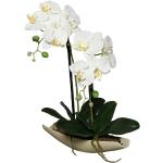 Orchidee Kunstpflanze Phalaenopsis creme 50cm in schwarzer Schale