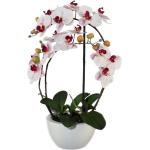 online Künstliche Rosa kaufen Orchideen | 2024 Trends Günstig |