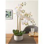 Reduzierte Weiße Künstliche Orchideen aus Kunststoff 