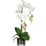 Kunstpflanzen, künstliche Orchidee weiß, im Glastopf Höhe 52 cm