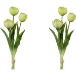 | Künstliche kaufen | Trends online Günstig Tulpen 2024