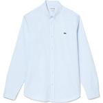 Blaue Lacoste Button Down Kragen Regular Fit Hemden aus Baumwolle für Herren Größe 4 XL 