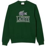 Grüne Lacoste Rundhals-Ausschnitt Rundhals-Pullover aus Baumwolle für Herren Größe L 