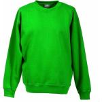 Grüne Langärmelige Rundhals-Ausschnitt Damensweatshirts Größe XS 