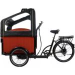 Lastenrad elektrisch E-bike Cargo Elektro Robust Lastenfahrrad 7 Gang Fahrrad