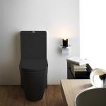 Schwarze Laufen Stand-WCs glänzend aus Keramik 