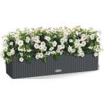 Graue 80 cm Lechuza Balconera Blumenkästen & Pflanzkästen aus Granit Indoor 
