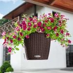 Braune Landhausstil 23 cm Lechuza Cottage Pflanzenampeln & Blumenampeln 23 cm aus Edelstahl mit Halterung 