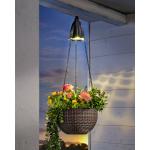Bunte Pflanzenampeln & Blumenampeln aus Kunststoff solarbetrieben 