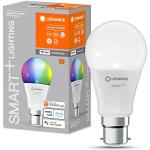 Reduzierte Weiße Ledvance Leuchtmittel smart home B22d 4-teilig 