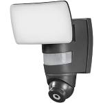 Reduzierte Dunkelgraue Ledvance Tageslichtlampen & Tageslichtleuchten 