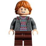 LEGO® - Harry Potter - hp382 - Ron Weasley II (76405)