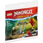 Lego Ninjago Minifiguren 