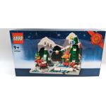 Lego Elves Bausteine 