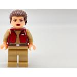 LEGO® Star Wars™ Padme Amidala sw0411 NEU Sammlerzustand 9515 Figuren