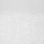Weiße Stuhlsessel aus Kunstleder Breite 50-100cm, Höhe 50-100cm, Tiefe 50-100cm 