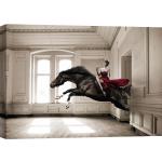 Graue Pferde Bilder mit Pferdemotiv 