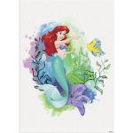 Bunte Arielle die Meerjungfrau Arielle Leinwandbilder 50x70 