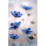 Rosa Blumenleinwandbilder 50x70 