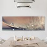 Nachhaltige Leinwanddrucke mit Pusteblumen-Motiv aus Holz Querformat 30x90 