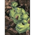 Leinwandbild Hulk 50x70 cm