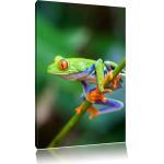 Grüne Ethno Bilder & Wandbilder mit Froschmotiv 60x40 