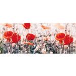 Reduzierte Rote BRICOFLOR Mohnblumenbilder mit Blumenmotiv 