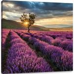 Lavendelfarbene Bildersets mit Lavendel-Motiv 40x60 3-teilig 