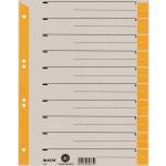 Orange Leitz Kartonregister & Papierregister DIN A4 aus Pappe 10-teilig 