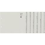 Graue Leitz Kartonregister & Papierregister DIN A4 aus Pappe 20-teilig 