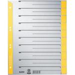 Gelbe Leitz Kartonregister & Papierregister DIN A4 aus Pappe 100-teilig 