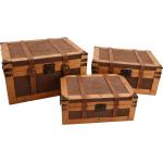 Braune Antike Kisten & Aufbewahrungskisten aus Holz 