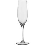 LEONARDO Ciao Runde Champagnergläser 190 ml aus Kristall 