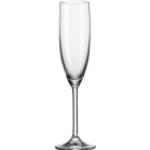 LEONARDO Champagnergläser 200 ml aus Glas 