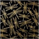 Schwarze Leonique Acrylglasbilder mit Insekten-Motiv aus vergoldet 100x100 