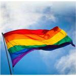 Reduzierte LGBT Gay Pride Regenbogenfahnen aus Stoff 