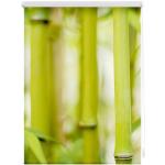 Reduzierte Grüne Motiv Asiatische Lichtblick Seitenzugrollos mit Bambus-Motiv aus Textil lichtdurchlässig 