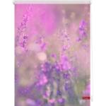 Violette Blumenmuster Lichtblick Seitenzugrollos strukturiert 